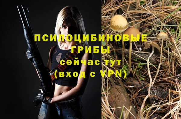 прущий лед Арсеньев