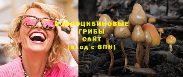 Альфа ПВП Армянск