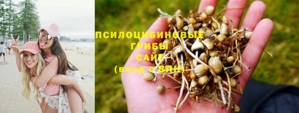 прущий лед Арсеньев